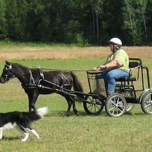 Meet your Posher, Jay